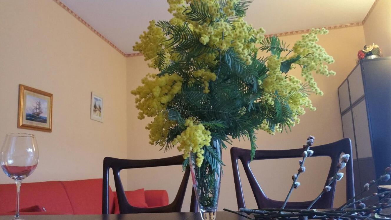 Appartamento Lucio Levanto Esterno foto